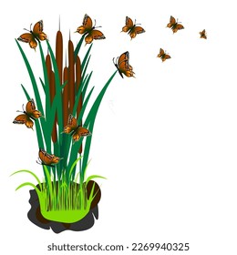Vector graphics.Design elements. On a white background, several bushes of reeds. Brown beautiful butterflies circle above the brown reeds.