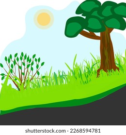 Vector graphics.Ecosystem.Soil on which grass, bush and tree grows. The sun is shining.