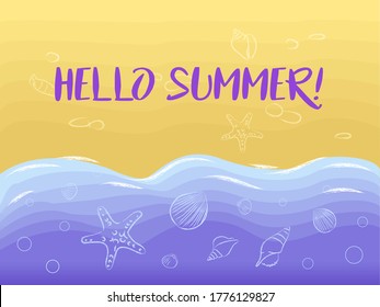 Vector graphics.Shells, starfish, pebbles, seabed. Hello summer!