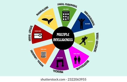 vector grapich illustration of multiple intelligences  howard gardner theory. multiple intelligences include verbal linguistic, logic-mathemathic, bodily kinesthetic, musical, visual spatial, etc