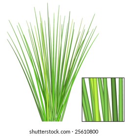 Vector Grass