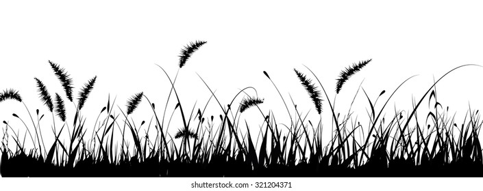 vector grass