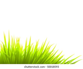 vector grass