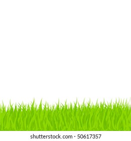 Vector Grass