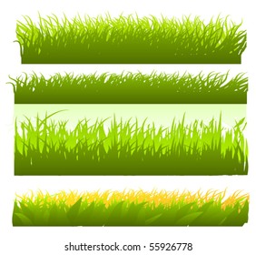 vector grass