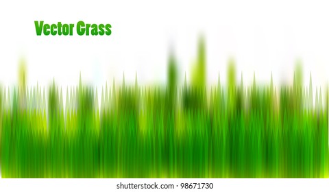 Vector grass.