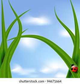 Vector grass against blue sky