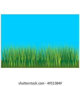 Vector. Grass background 001. More see in portfolio
