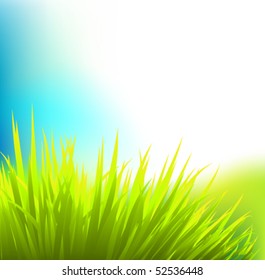 vector grass background