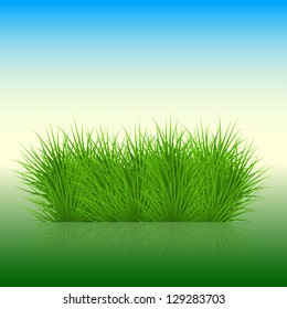 Vector grass background. eps10