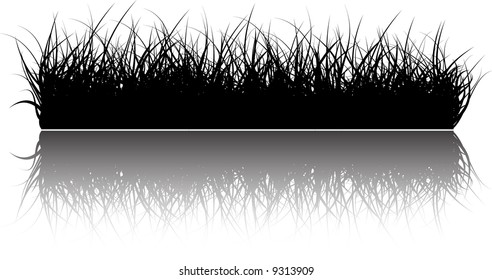 Vector grass background with reflections in the water