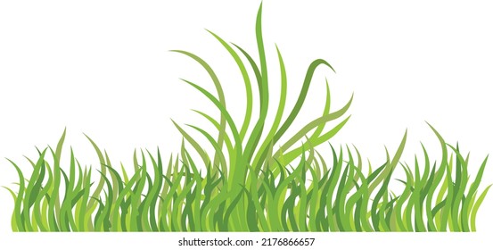 Vector grass blowing in wind isolated over white.