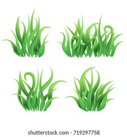 Vector grass butches on white background / Green curly grass collected in butches
