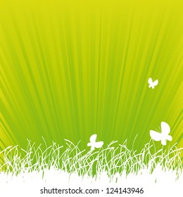 vector grass and butterfly with shine green background