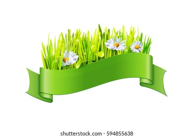 Vector grass and chamomile flowers in green ribbon isolated on a white background. Element for celebation design.