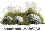 Vector grass field, rocks, savanna landscape, nature clipart, wild grass, prairie background, landscape design, outdoor setting, natural sceneries