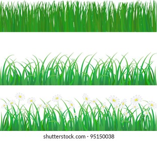 vector grass and flower