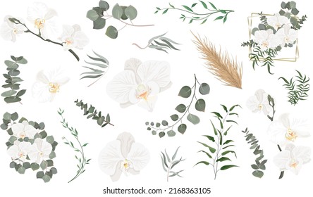 Vector grass and flower set. Eucalyptus, different plants and leaves, white orchid, dry wood. 