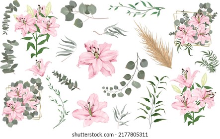 Vector grass and flower set. Eucalyptus, different plants and leaves, dry wood. Pink lily flowers, branches with flowers, compositions with gold frames 