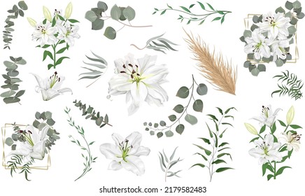 Vector grass and flower set. Eucalyptus, different plants and leaves, dry wood. White lily flowers, branches with flowers, compositions with gold frames 