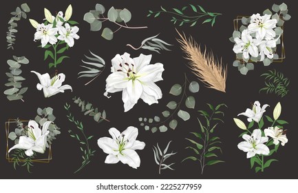 Vector grass and flower set. Eucalyptus, different plants and leaves, dry wood. White lily flowers, branches with flowers, compositions with gold frames 