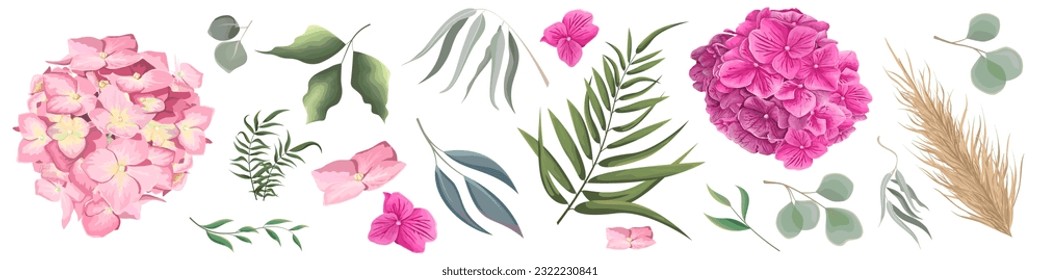 Vector grass and flower set. Eucalyptus, different plants and leaves, pink hydrangea 