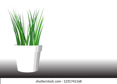 Vector grass flower in white pot With white background