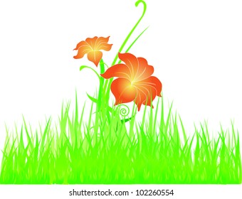 Vector Grass flowers.