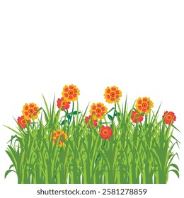 vector grass, flowers, stones on white background
