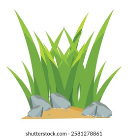 vector grass, flowers, stones on white background