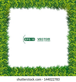 vector grass frame with copy space