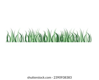 vector of grass in the garden or wild on a white background