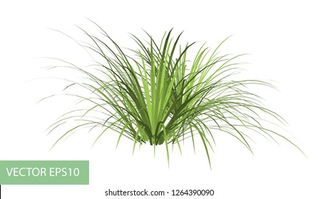 Vector grass green