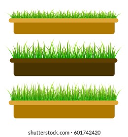 Vector Grass, Greenery In Pots