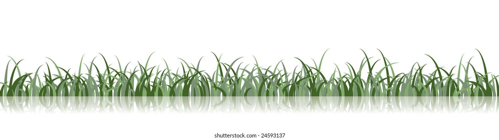 Vector Grass Illustration