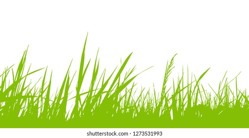 vector grass isolated on white background