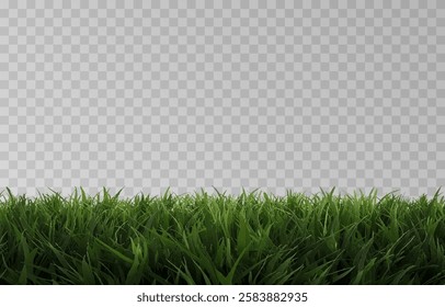 Vector grass, lawn. Grasses png, lawn png. Young green grass. Grass border, vector illustration