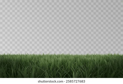 Vector grass, lawn. Grasses png, lawn png. Young green grass. Grass border, vector illustration.