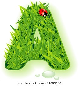  Vector grass letter.