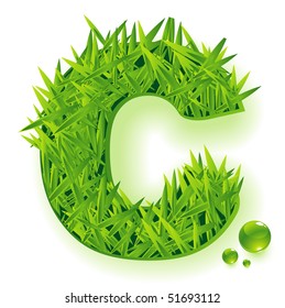  Carta de césped vectorial.