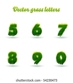 Vector grass numbers