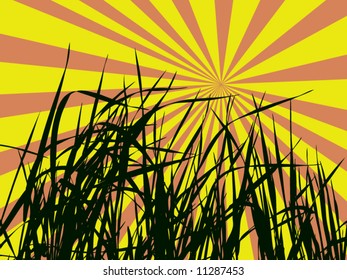 vector of grass on abstract sky rays