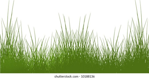 Vector grass on a separate layer