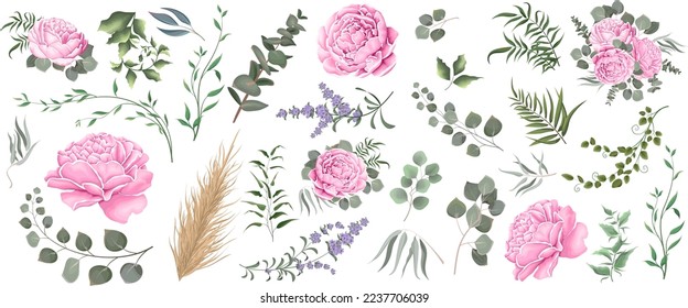 El césped vectorial y el conjunto de flores rosadas. Eucalipto, diferentes plantas y hojas, lavanda, peonía rosada, madera seca. 