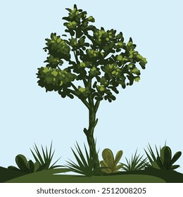 
Vector Grass, Plant with leaf.