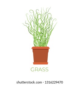 Vector grass plant in pot in flat style
