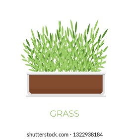 Vector grass plant in pot in flat style