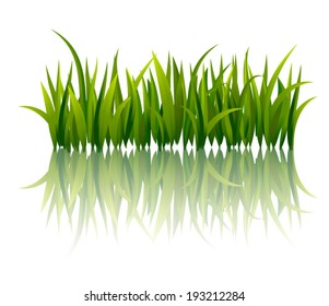 Vector grass with reflection
