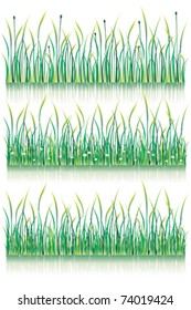 Vector grass set