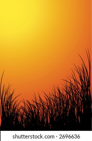 Vector grass silhouette background - sunset
